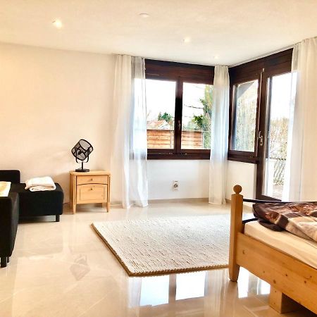 Big Apartment With Garden Rapperswil-Jona Zewnętrze zdjęcie