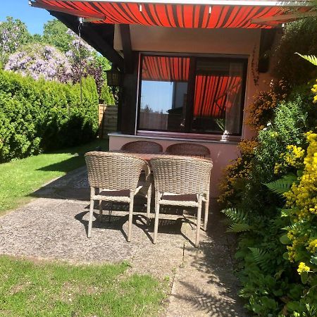 Big Apartment With Garden Rapperswil-Jona Zewnętrze zdjęcie