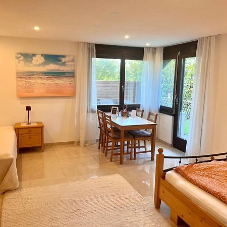 Big Apartment With Garden Rapperswil-Jona Zewnętrze zdjęcie